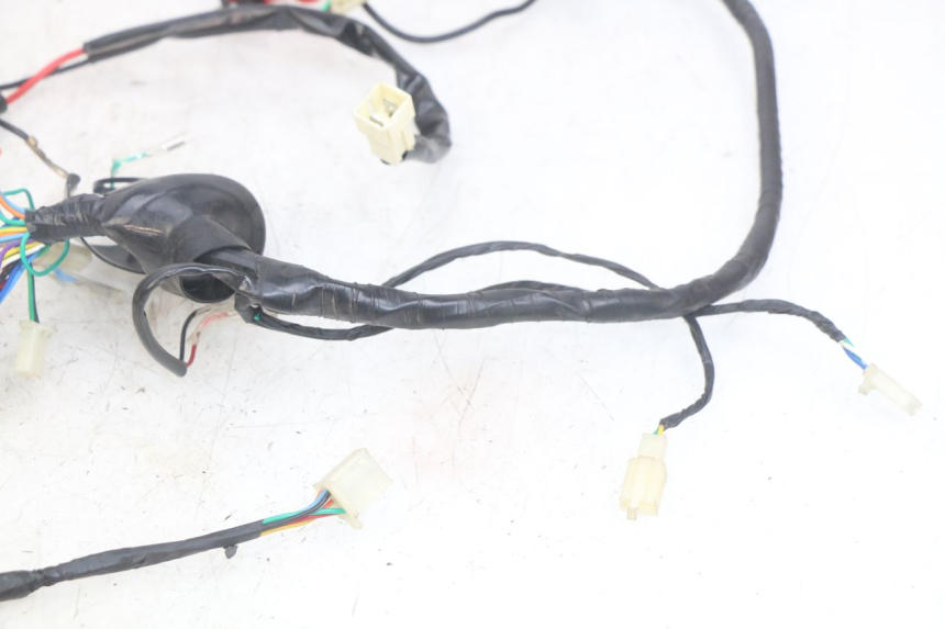 photo de WIRING HARNESS JM MOTORS OLDIES RS 4T 50 (2021 - 2024)