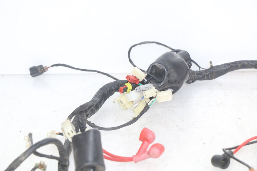 photo de WIRING HARNESS JM MOTORS OLDIES RS 4T 50 (2021 - 2024)