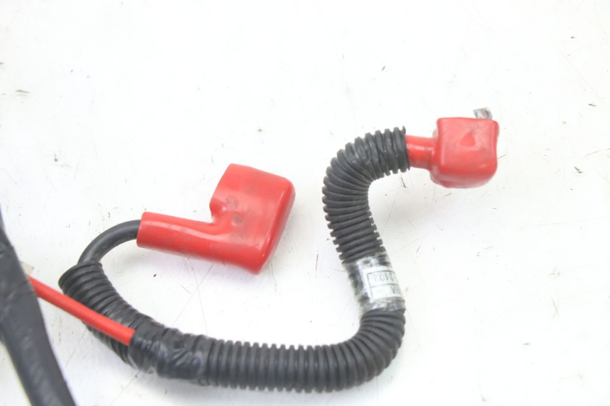 photo de WIRE HARNESS SYM ORBIT III 3 4T 50 (2021 - 2025)