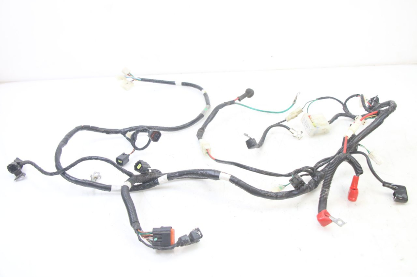 photo de WIRE HARNESS SYM ORBIT III 3 4T 50 (2021 - 2025)
