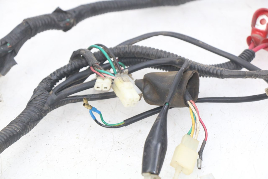 photo de WIRING HARNESS TNT MOTOR OTTO 2T 50 (2012 - 2018) - Component detail