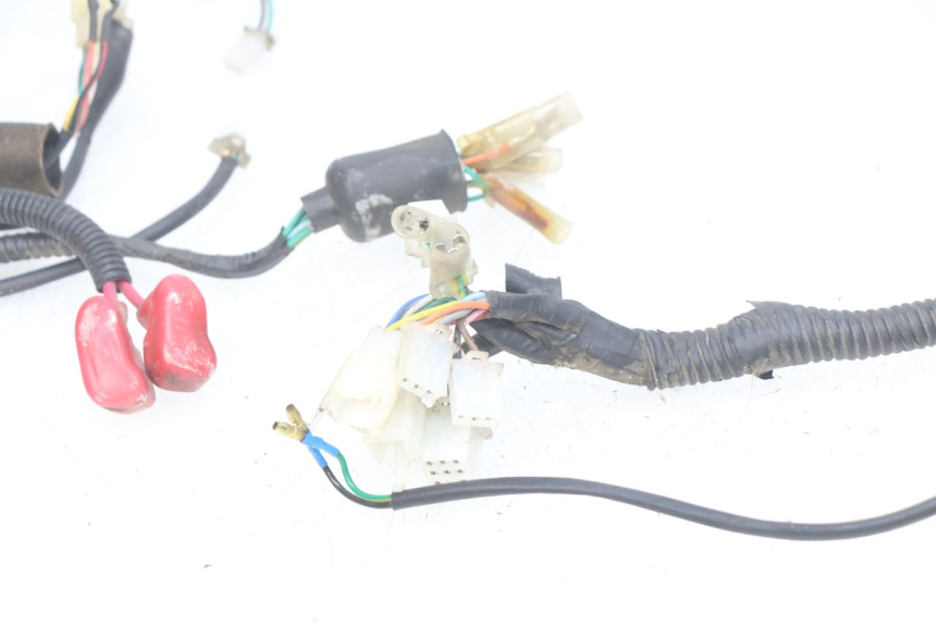 photo de WIRING HARNESS TNT MOTOR OTTO 2T 50 (2012 - 2018) - Technical close-up
