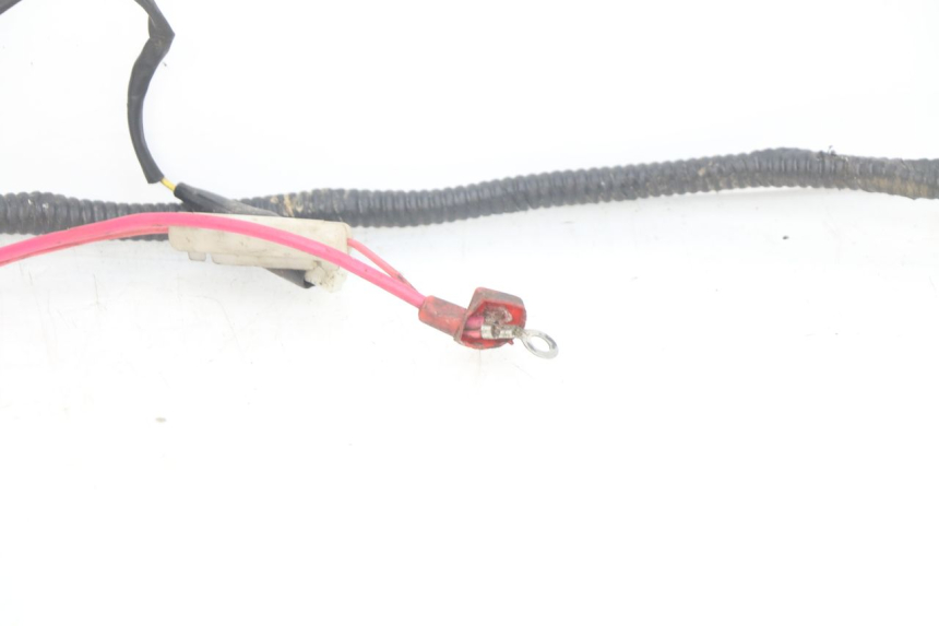 photo de WIRING HARNESS TNT MOTOR OTTO 2T 50 (2012 - 2018) - Product overview