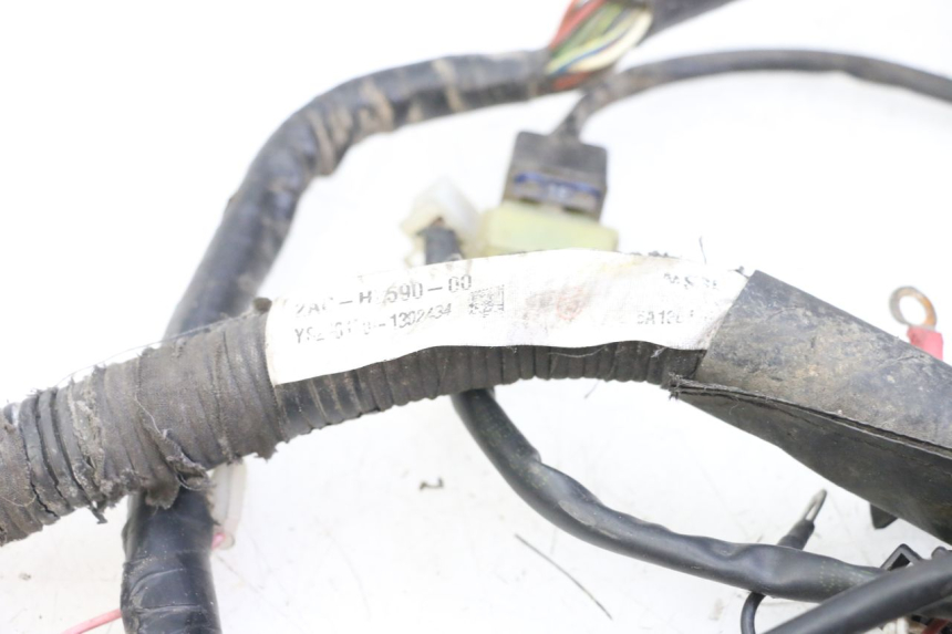 photo de WIRE HARNESS MBK OVETTO 4T 50 (2008 - 2016)