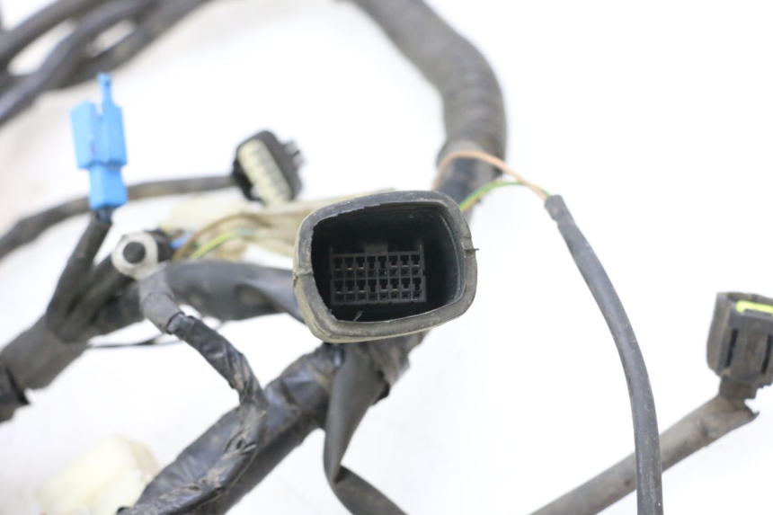 photo de WIRE HARNESS MBK OVETTO 4T 50 (2008 - 2016)