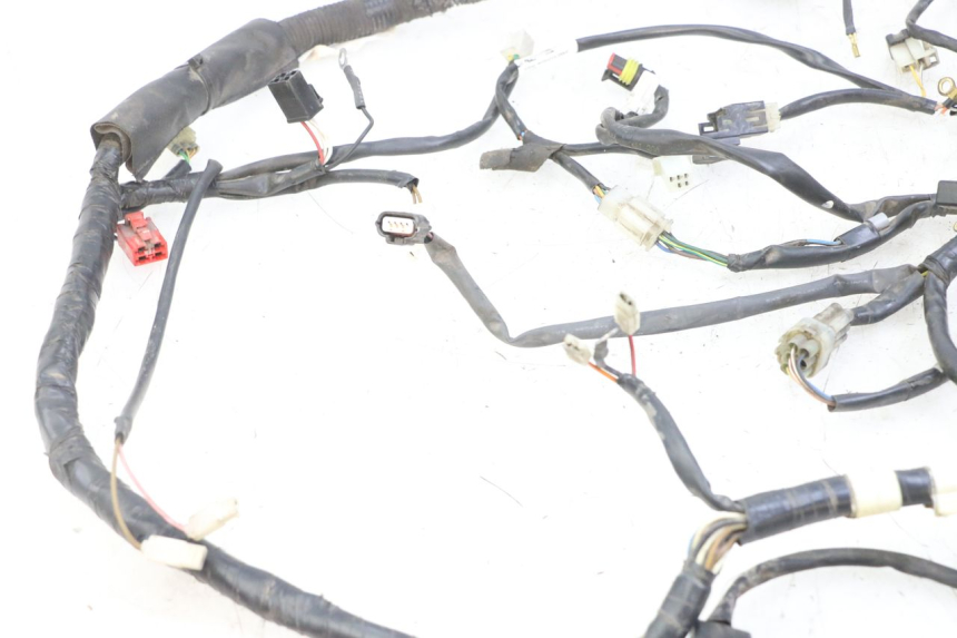 photo de WIRE HARNESS MBK OVETTO 4T 50 (2008 - 2016)