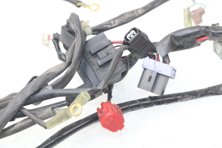 photo de WIRING HARNESS HONDA PCX (JF47) 125 (2012 - 2013)