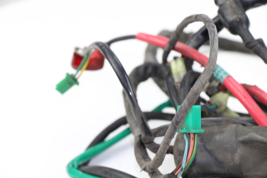 photo de WIRE HARNESS KYMCO PEOPLE S 125 (2000 - 2008)