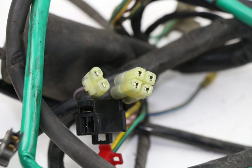 photo de WIRE HARNESS KYMCO PEOPLE S 125 (2000 - 2008)