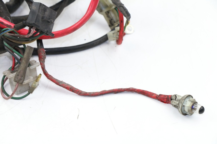 photo de WIRE HARNESS KYMCO PEOPLE S 125 (2000 - 2008)