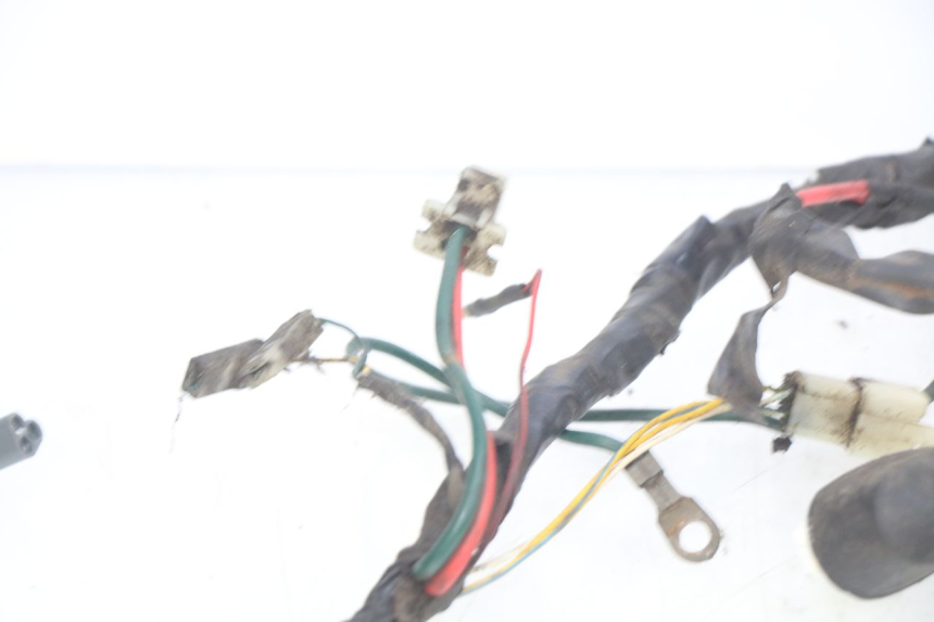 photo de WIRING HARNESS PEUGEOT ELYSTAR 50 (2002 - 2014)