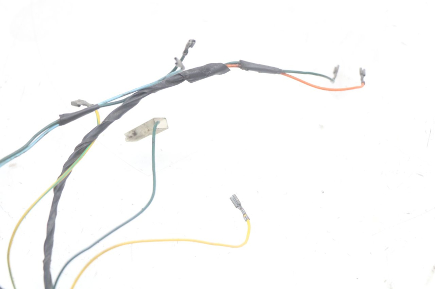 photo de WIRING HARNESS PEUGEOT ELYSTAR 50 (2002 - 2014)