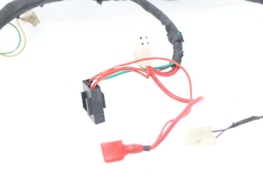 photo de WIRING HARNESS PEUGEOT KISBEE 2T 50 (2010 - 2017)