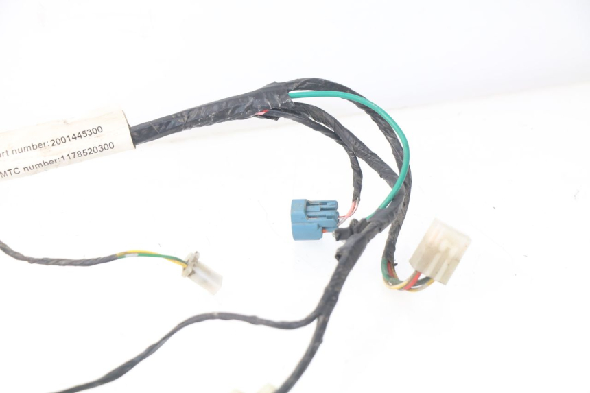 photo de WIRING HARNESS PEUGEOT KISBEE 2T 50 (2010 - 2017)