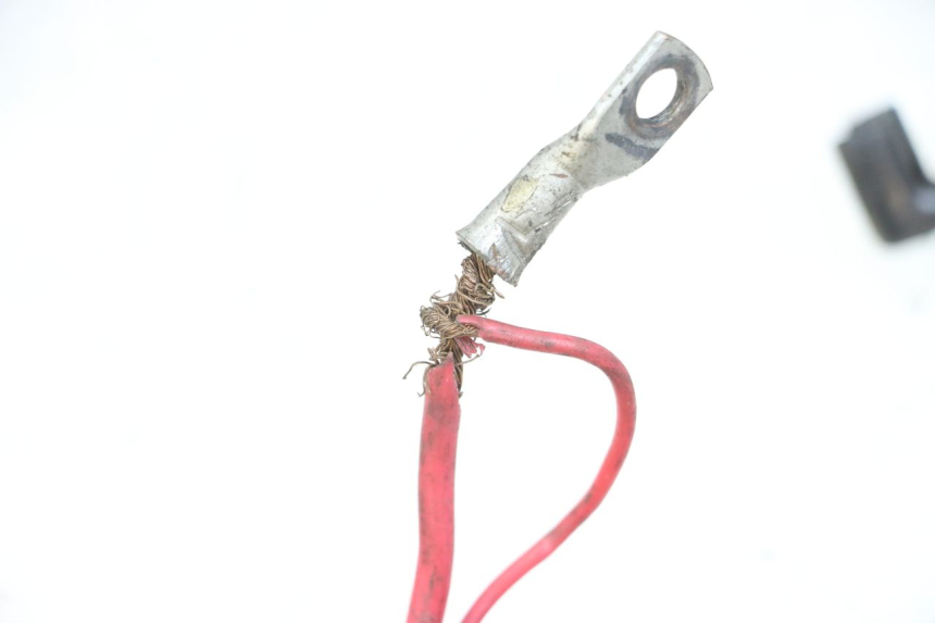 photo de WIRE HARNESS PEUGEOT KISBEE 2T 50 (2018 - 2022)