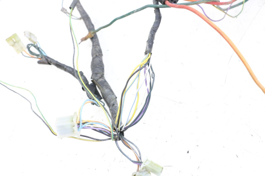 photo de WIRING HARNESS PEUGEOT LUDIX 50 (2008 - 2017)