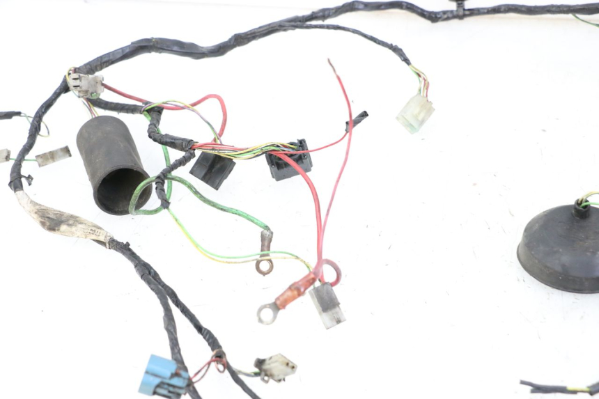 photo de WIRING HARNESS PEUGEOT LUDIX 50 (2008 - 2017)