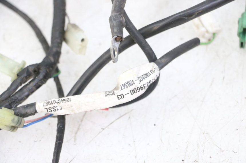 photo de WIRE HARNESS PEUGEOT SATELIS 125 (2013 - 2018)