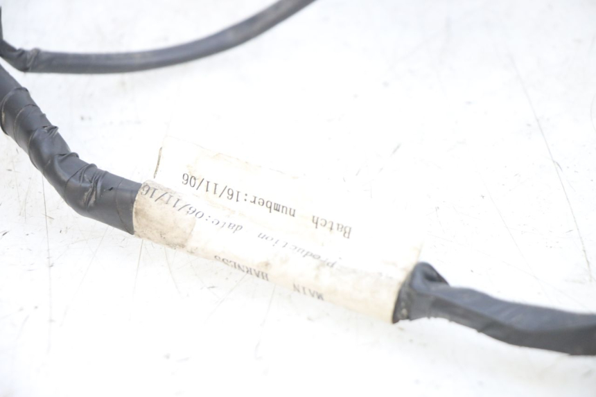 photo de WIRING HARNESS PEUGEOT SPEEDFIGHT 4 4T 50 (2015 - 2019)