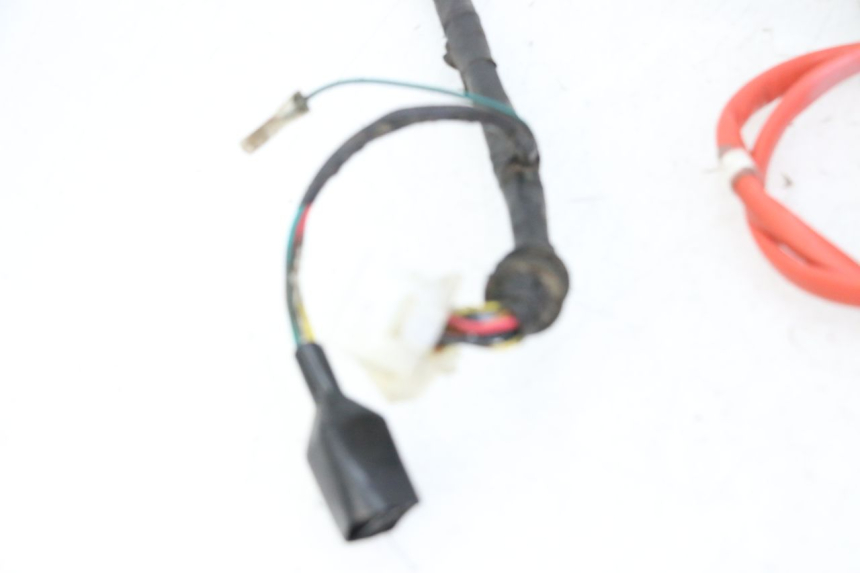 photo de WIRING HARNESS PEUGEOT TWEET 4T 50 (2014 - 2019)