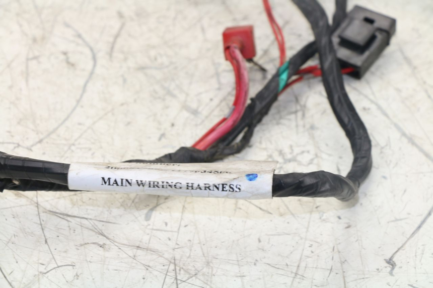 photo de WIRE HARNESS PEUGEOT VIVACITY 125 (2010 - 2017)