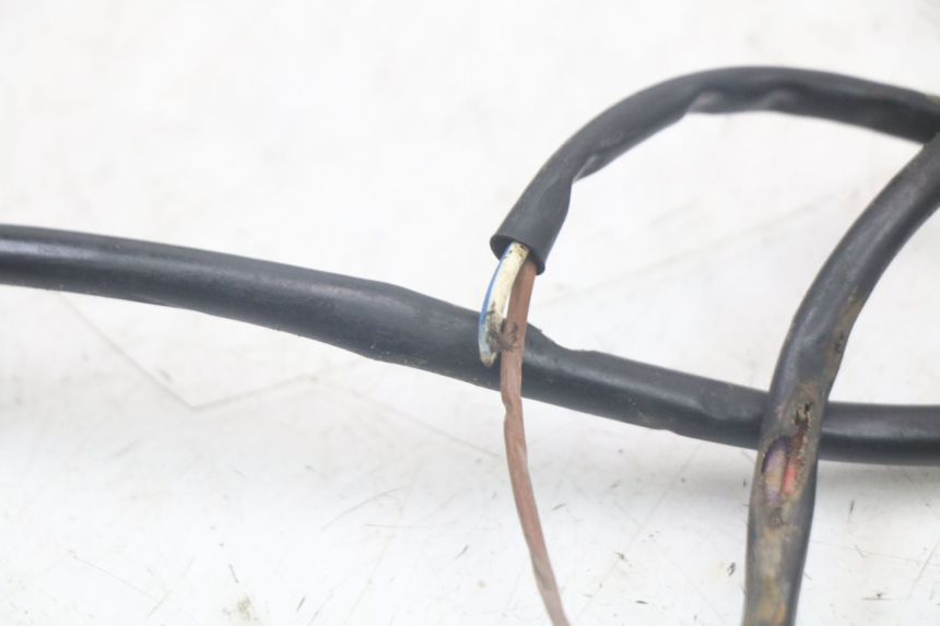 photo de WIRING HARNESS PEUGEOT XP6 50 (1997 - 2003)