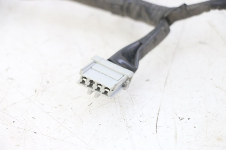 photo de HEADLIGHT WIRE HARNESS HONDA FORZA ABS 300 (2013 - 2019)