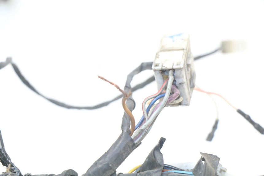 photo de WIRE HARNESS PIAGGIO BEVERLY 125 (1998 - 2005)