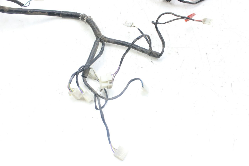 photo de WIRING HARNESS PIAGGIO FLY 4T 50 (2013 - 2017)