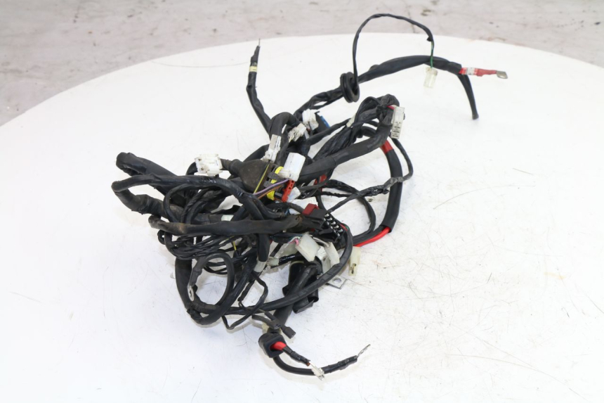 photo de WIRE HARNESS PIAGGIO FLY 4T 50 (2004 - 2010)