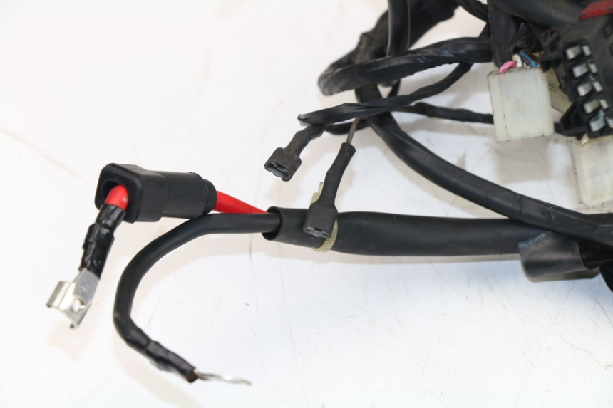 photo de WIRE HARNESS PIAGGIO FLY 4T 50 (2004 - 2010)