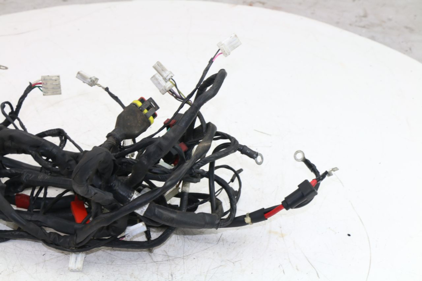 photo de WIRE HARNESS PIAGGIO FLY 4T 50 (2004 - 2010)