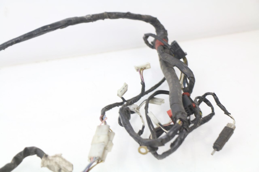 photo de WIRE HARNESS PIAGGIO LIBERTY 2T 50 (2004 - 2008) - Markings and original references