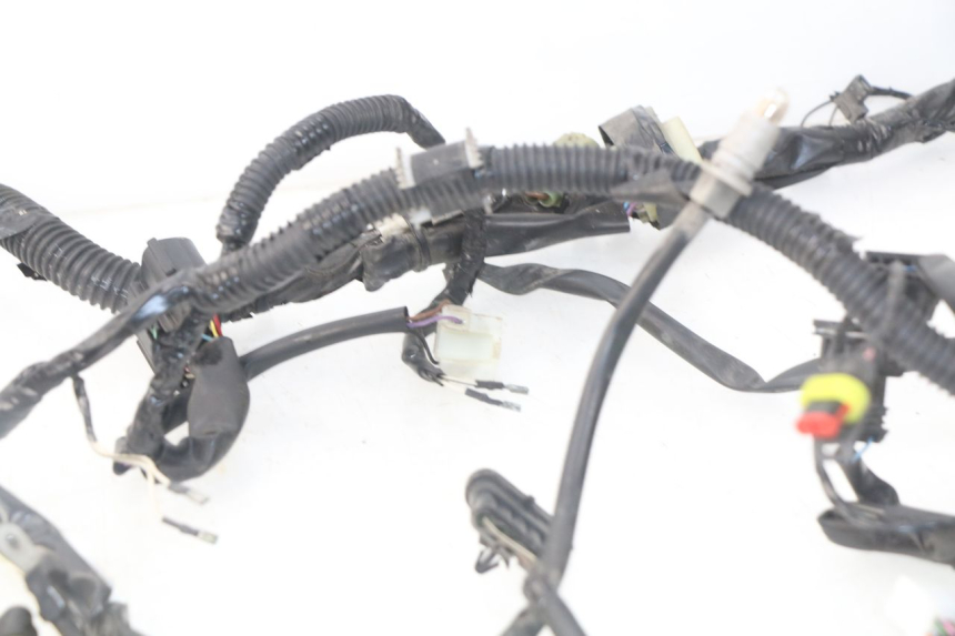 photo de WIRING HARNESS PIAGGIO LIBERTY IGET 4T 50 (2015 - 2020)