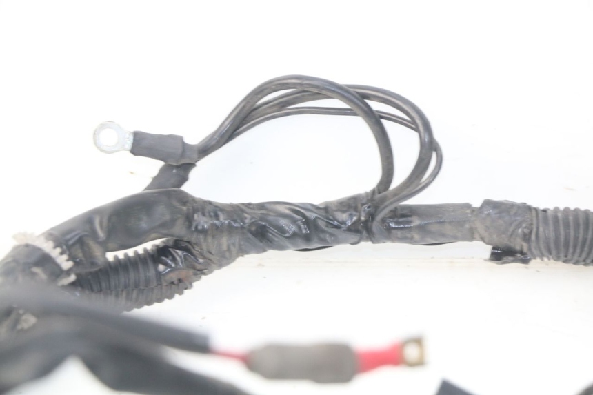 photo de WIRING HARNESS PIAGGIO LIBERTY IGET 4T 50 (2015 - 2020)