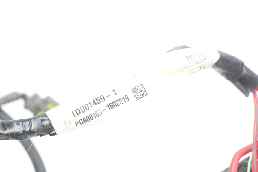 photo de WIRING HARNESS PIAGGIO LIBERTY IGET 4T 50 (2015 - 2020)