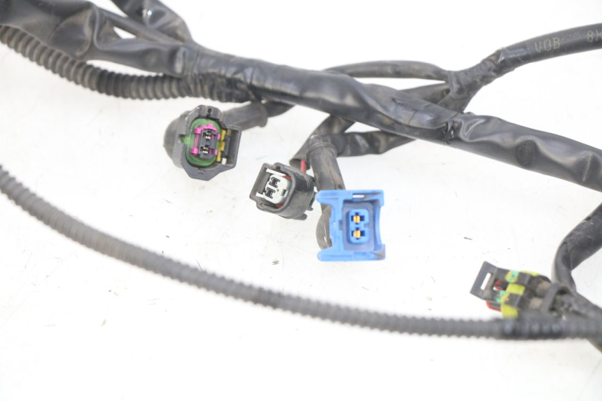 photo de WIRING HARNESS PIAGGIO LIBERTY IGET 4T 50 (2015 - 2020)