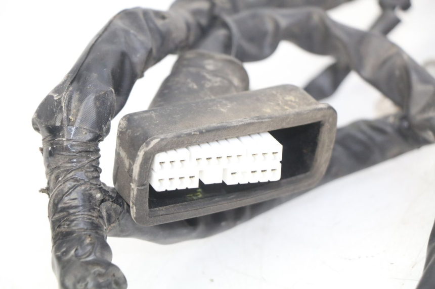 photo de WIRING HARNESS PIAGGIO LIBERTY IGET 4T 50 (2015 - 2020)