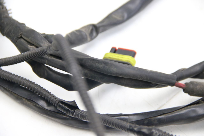 photo de WIRING HARNESS PIAGGIO LIBERTY IGET 4T 50 (2015 - 2020)