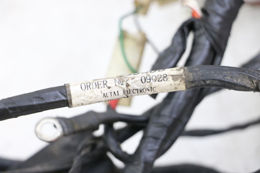 photo de WIRE HARNESS PIAGGIO TYPHOON 50 (2000 - 2009)