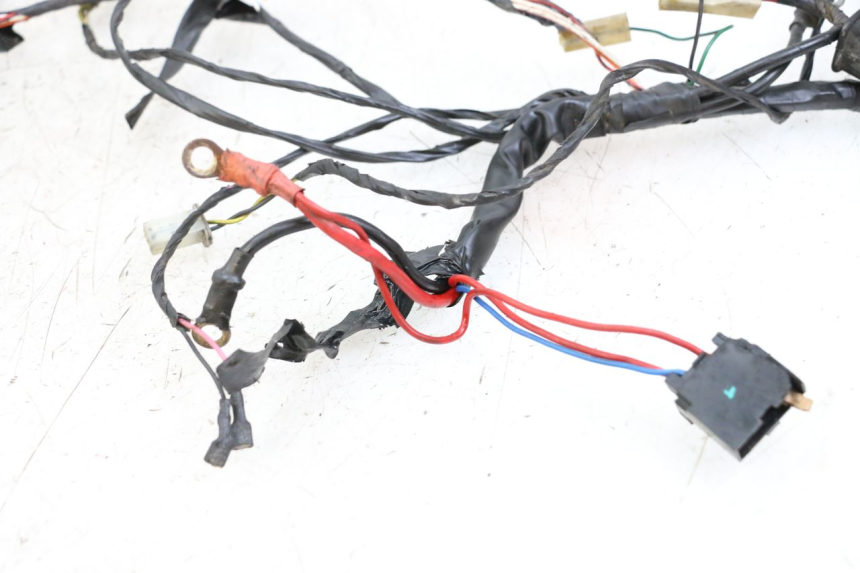 photo de WIRE HARNESS PIAGGIO TYPHOON 50 (2000 - 2009)