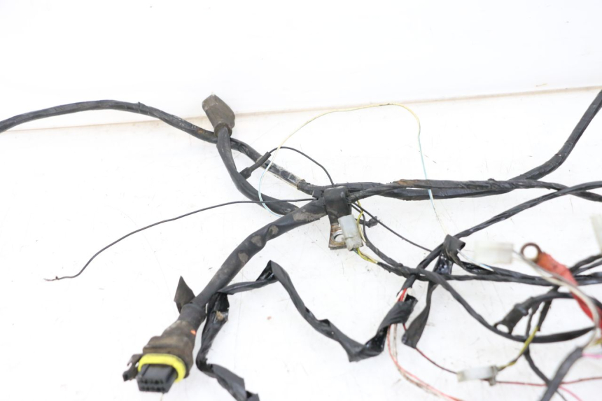 photo de WIRE HARNESS PIAGGIO TYPHOON 50 (2000 - 2009)