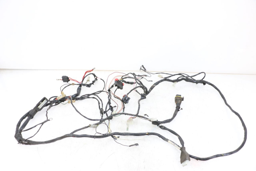 photo de WIRE HARNESS PIAGGIO TYPHOON 50 (2000 - 2009)