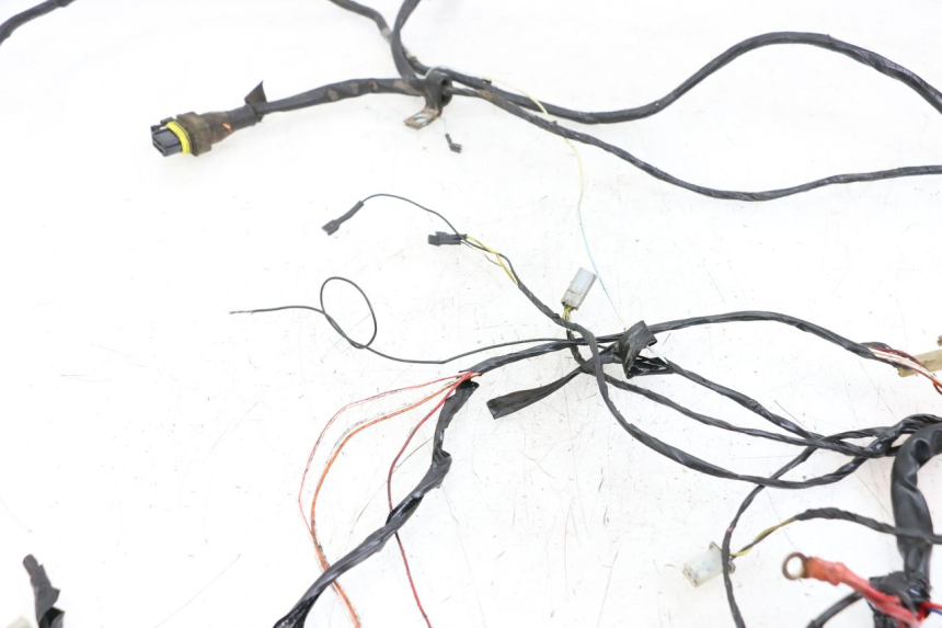 photo de WIRE HARNESS PIAGGIO TYPHOON 50 (2000 - 2009)