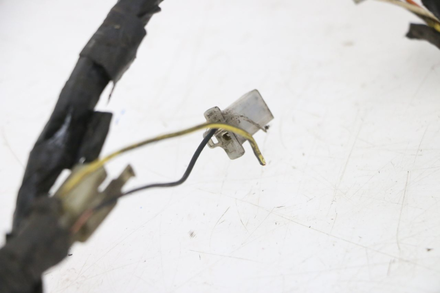photo de WIRING HARNESS PIAGGIO VESPA LX 2T 50 (2005 - 2013)