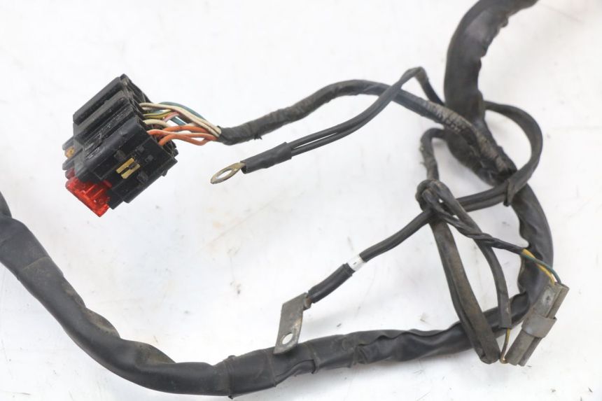 photo de WIRE HARNESS PIAGGIO X8 125 (2004 - 2007)