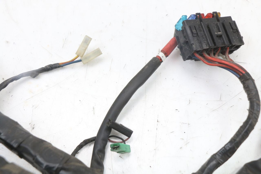 photo de WIRE HARNESS PIAGGIO X8 125 (2004 - 2007)