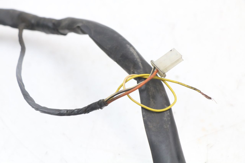 photo de WIRE HARNESS PIAGGIO X8 125 (2004 - 2007)