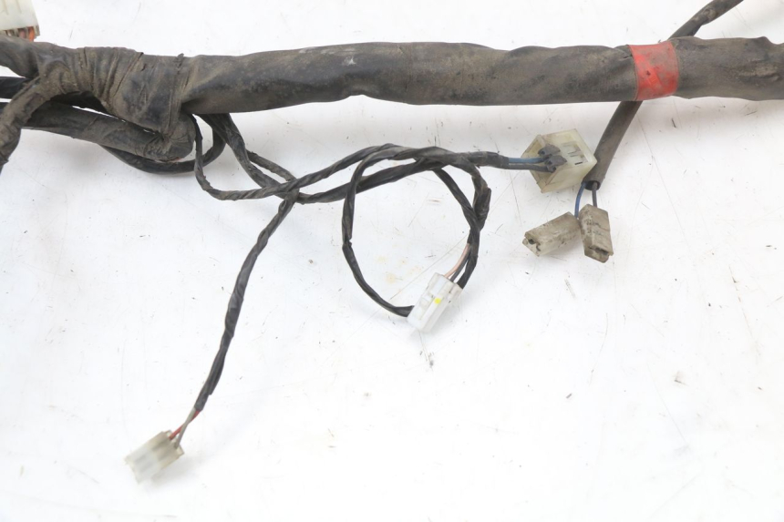 photo de WIRE HARNESS PIAGGIO X8 125 (2004 - 2007)