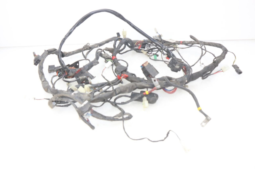 photo de WIRING HARNESS PIAGGIO X9 EVOLUTION 125 (2003 - 2007)